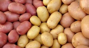 Dietë me kefir për 7 ditë me patate